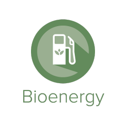 Bioenergy Module Bioenergy Module