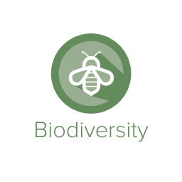 Biodiversity Biodiversity