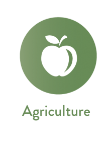 Environmental Reporting for Agriculture