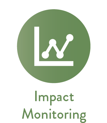 Impact Monitoring Impact Monitoring