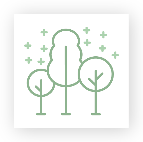 Carbon Offsets